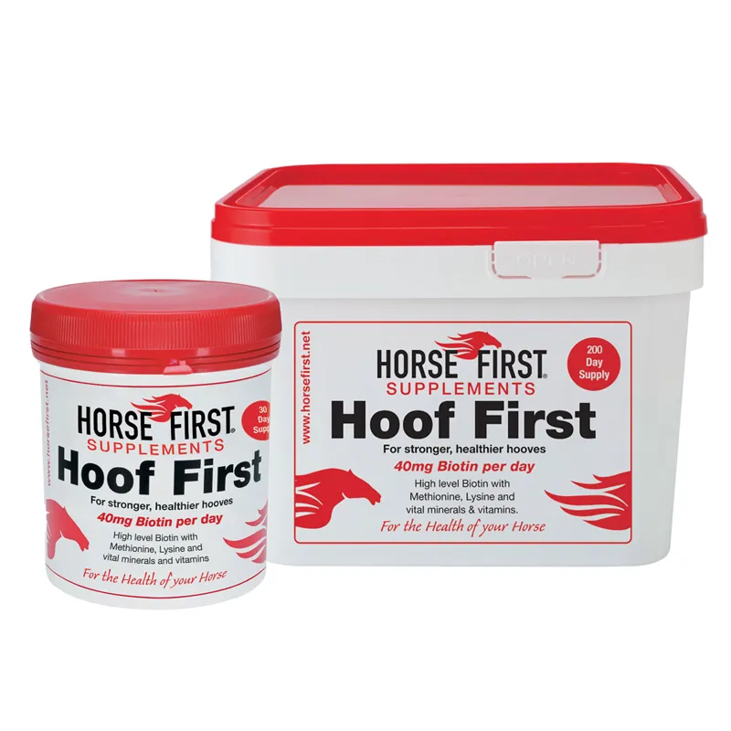 Horse First Hoof First