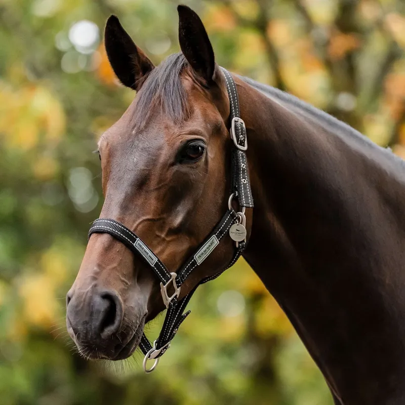 Horseware Field Safe Headcollar - Black/Reflective/Black
