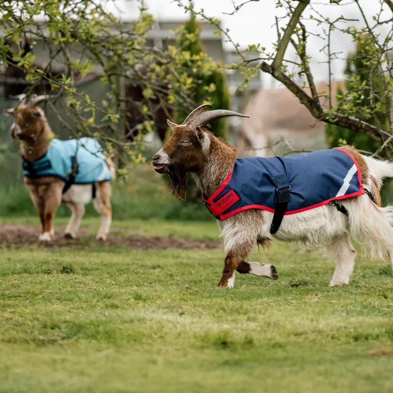 Horseware 0g Waterproof Goat Coat - Navy/Red-10