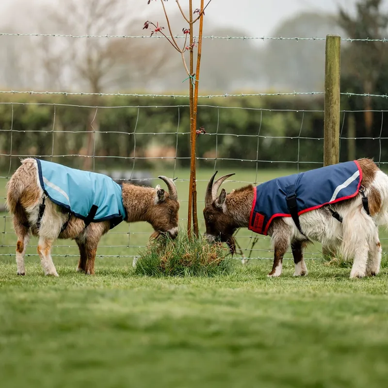 Horseware 0g Waterproof Goat Coat - Navy/Red-11