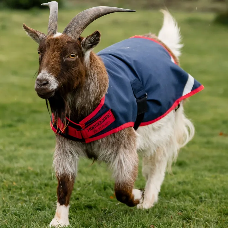 Horseware 0g Waterproof Goat Coat - Navy/Red-4