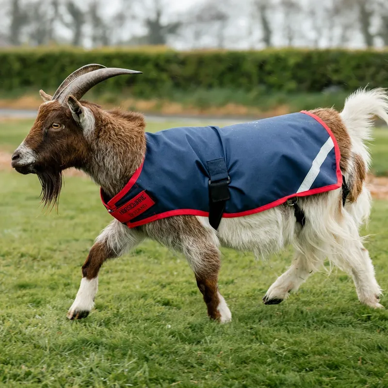 Horseware 0g Waterproof Goat Coat - Navy/Red-5