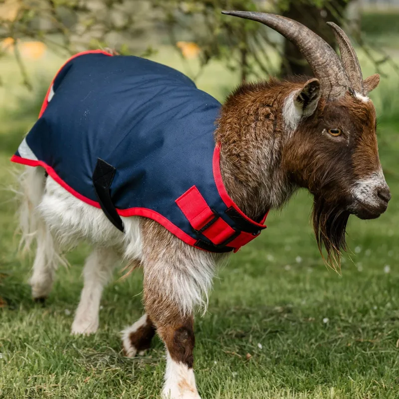 Horseware 0g Waterproof Goat Coat - Navy/Red-6