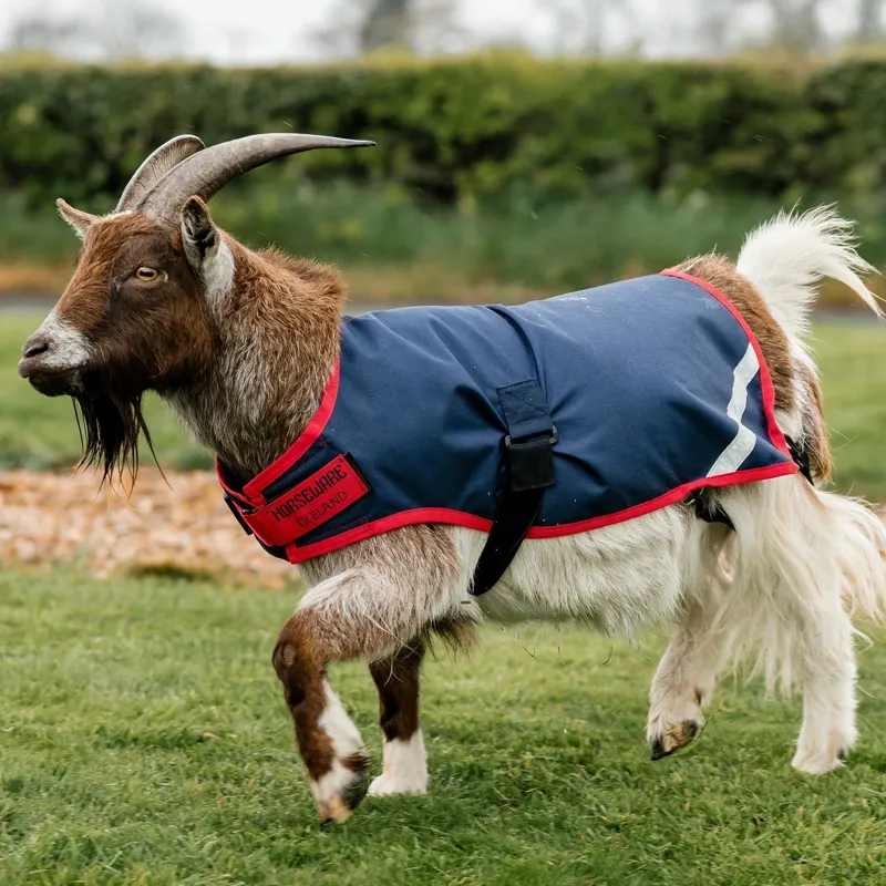 Horseware 0g Waterproof Goat Coat - Navy/Red-7
