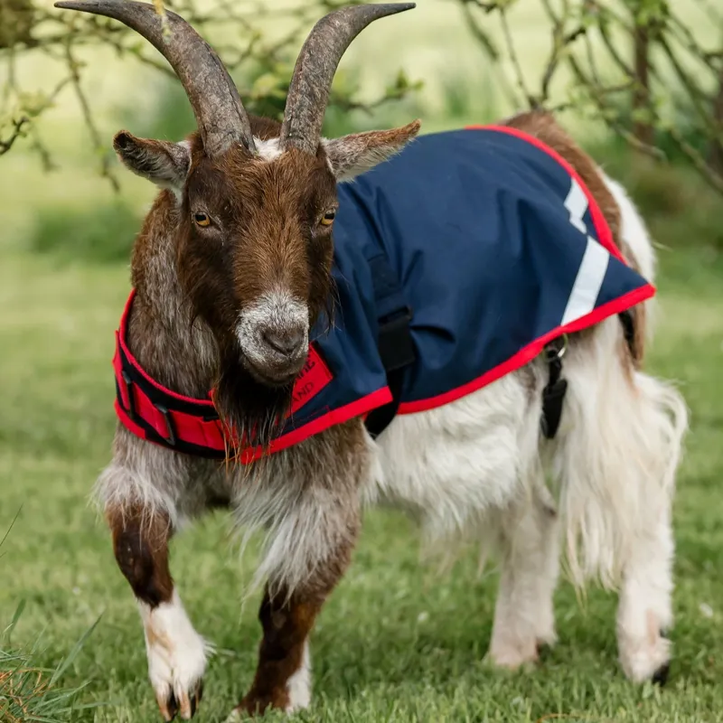 Horseware 0g Waterproof Goat Coat - Navy/Red-9