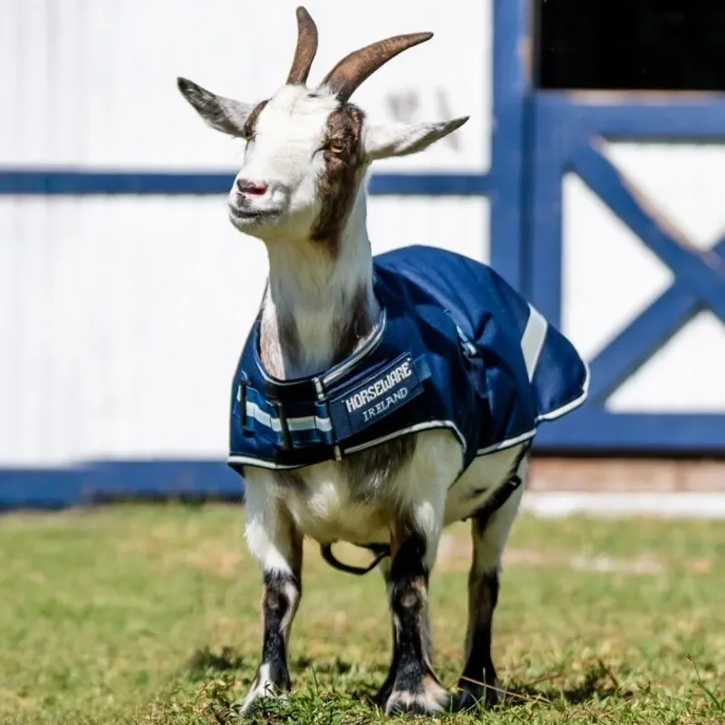 Horseware 100g Waterproof Goat Coat - Navy-1