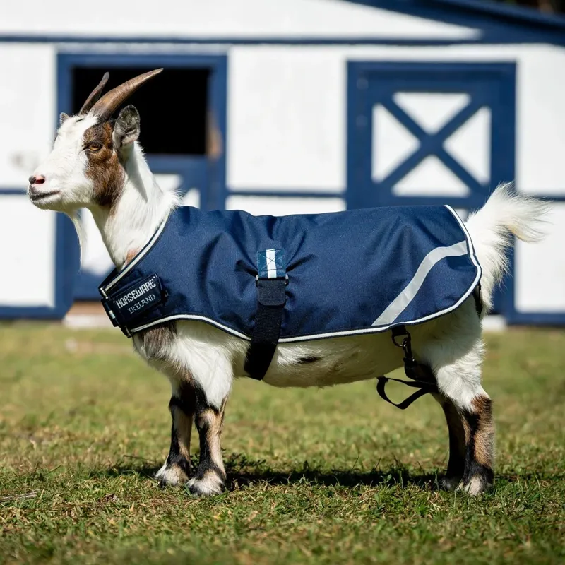 Horseware 200g Waterproof Goat Coat - Navy-1