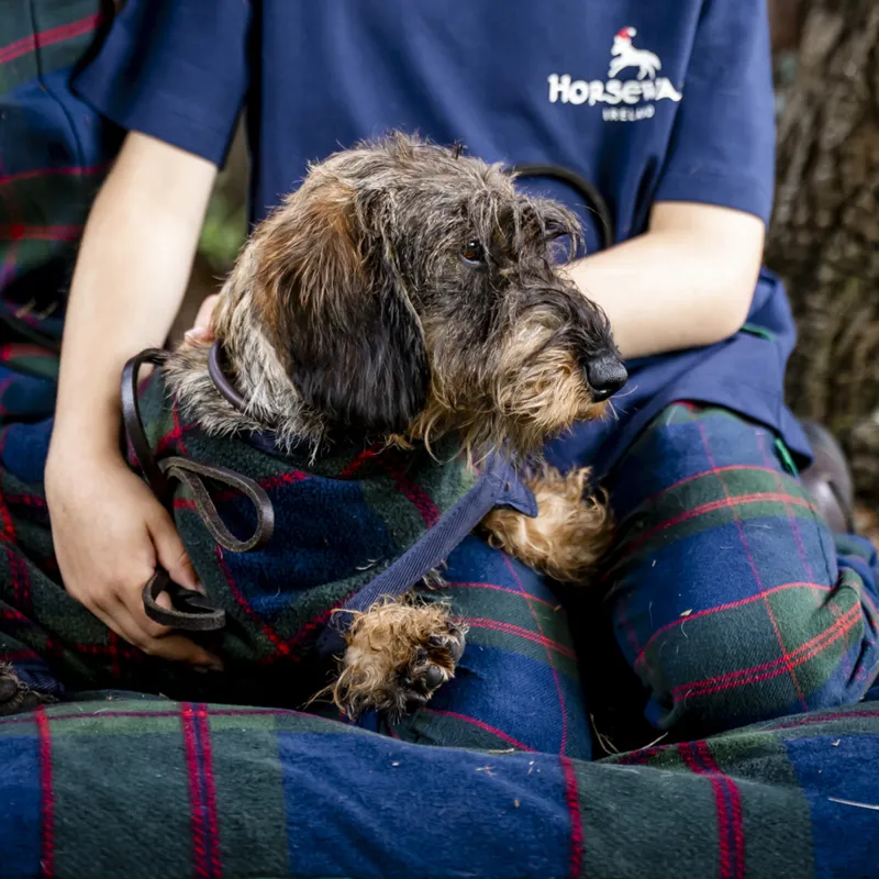 Horseware Holiday Dog Fleece Rug - Navy Check/Green/Red-1