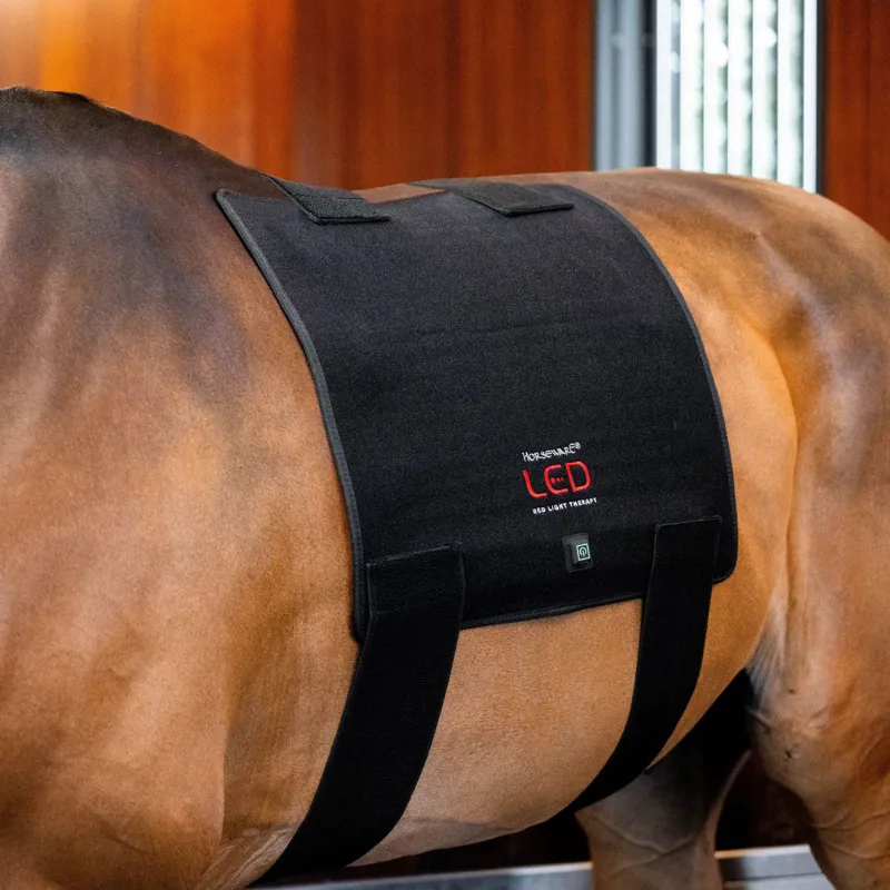 Horseware LED Red Light Therapy Pad 