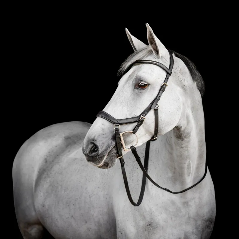Horseware Micklem Diamante Competition Bridle - Black-6