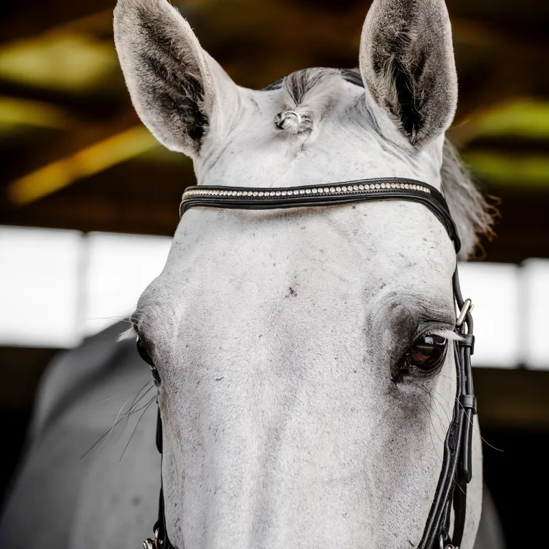 Horseware Micklem Diamante Competition Bridle - Black-4