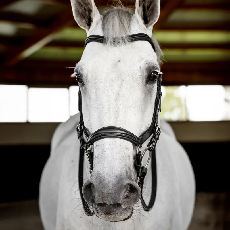 Horseware Micklem Deluxe Competition Bridle - Black-1