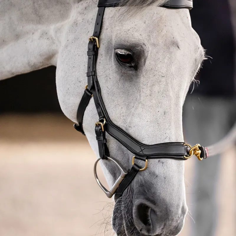 Horseware Micklem Multi Bridle - Black-6
