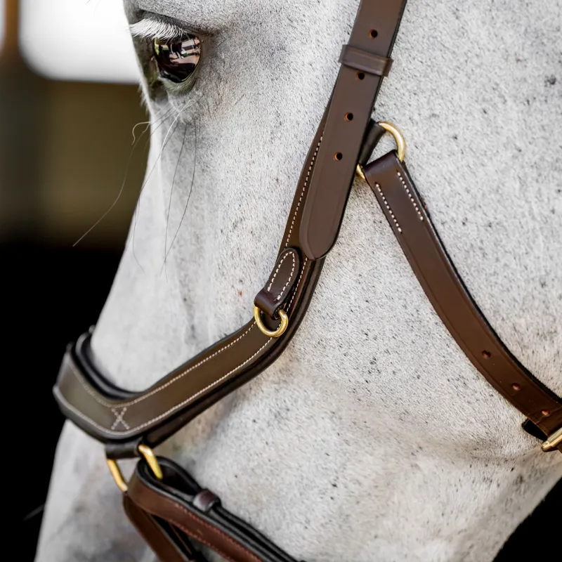 Horseware Micklem Multi Bridle - Dark Havana-1