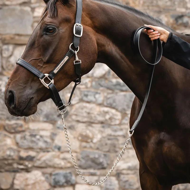 Horseware Signature Leather Lead with Chain - Black-1