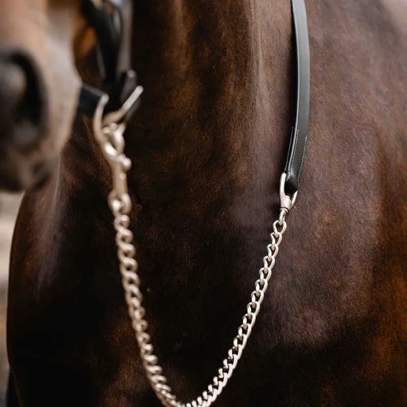 Horseware Signature Leather Lead with Chain - Black-2