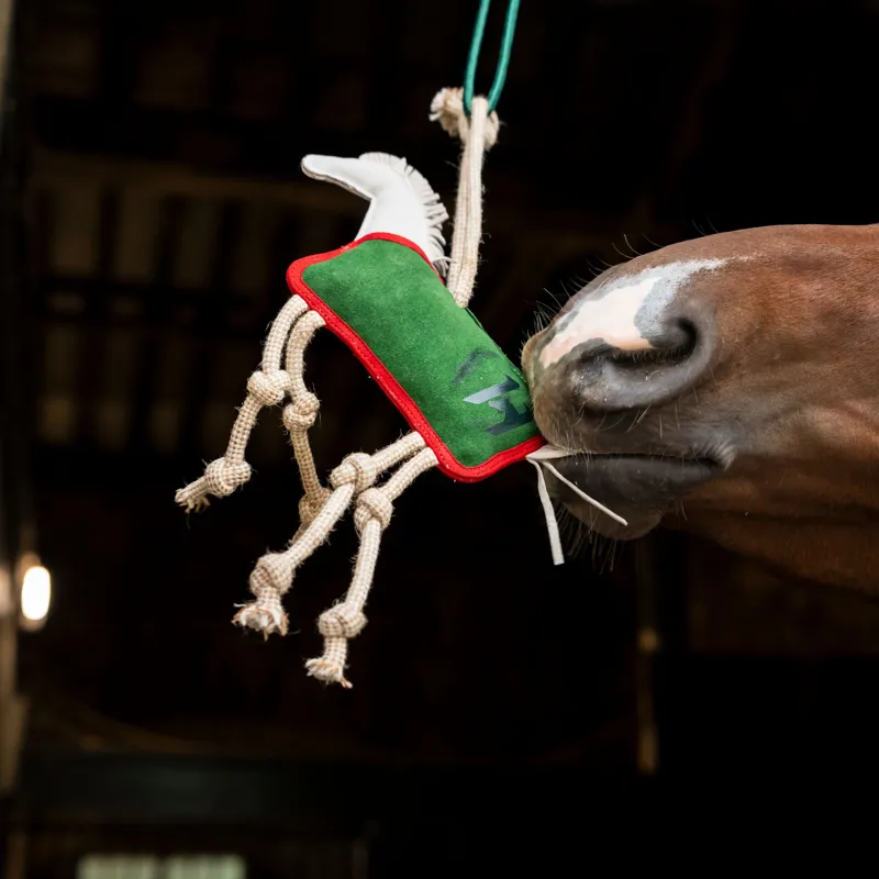 Horseware Stable Toy - White/Green-1