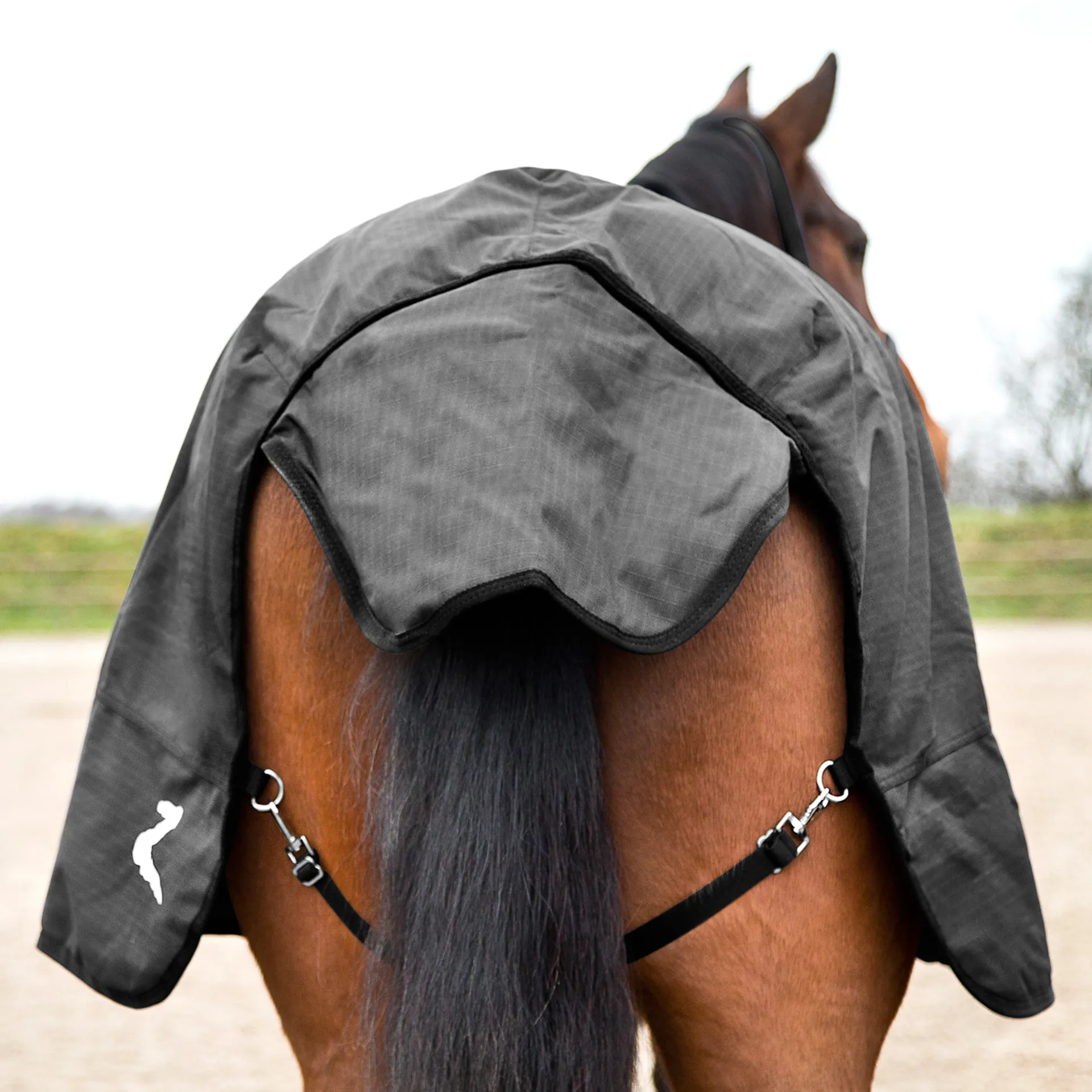 HORZE Nevada Lightweight Turnout Horse Sheet, Black, 78-in