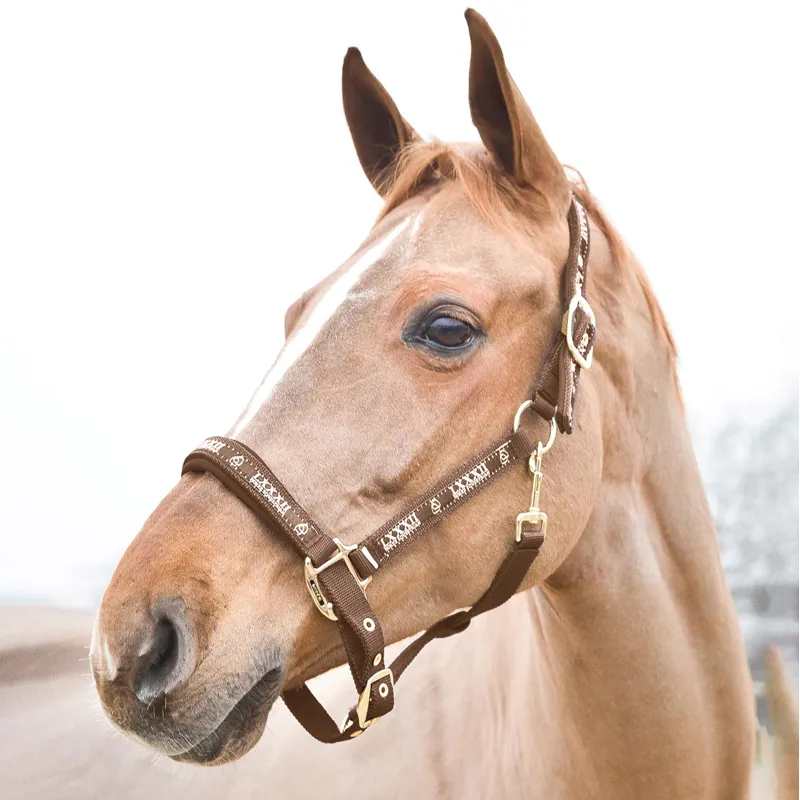 Horze Hampton Headcollar - Brown