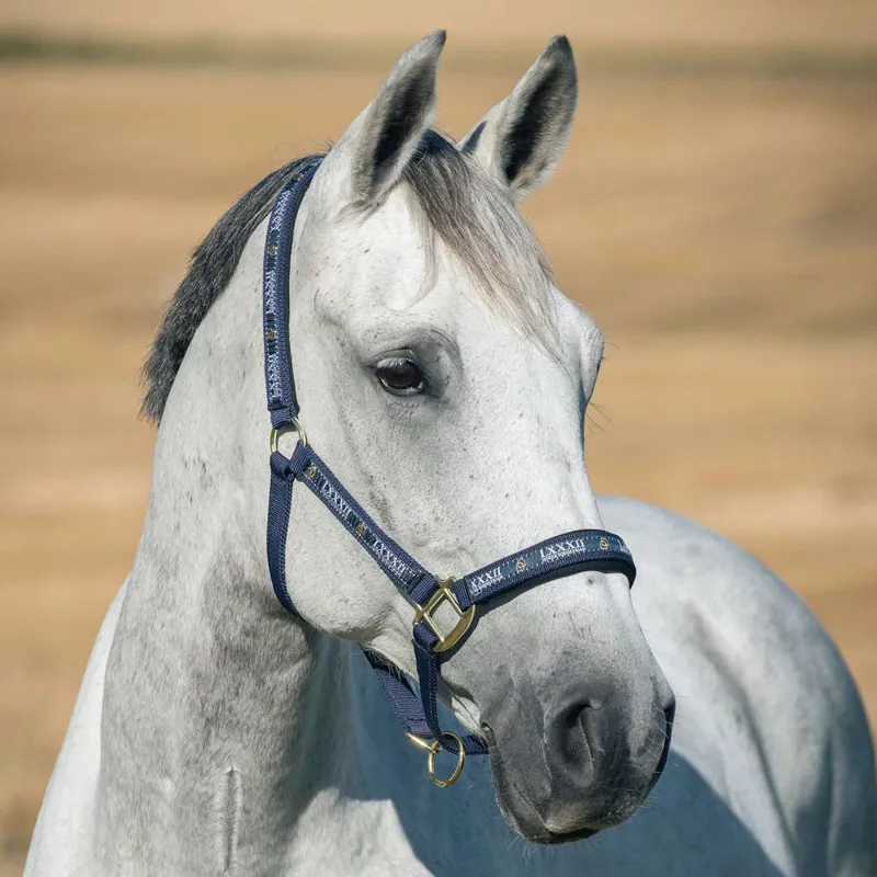 Horze Hampton Headcollar - Navy