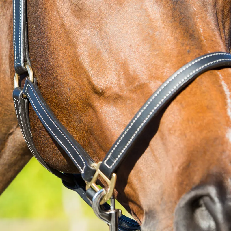 Horze Fremont Leather Head Collar - Black-1
