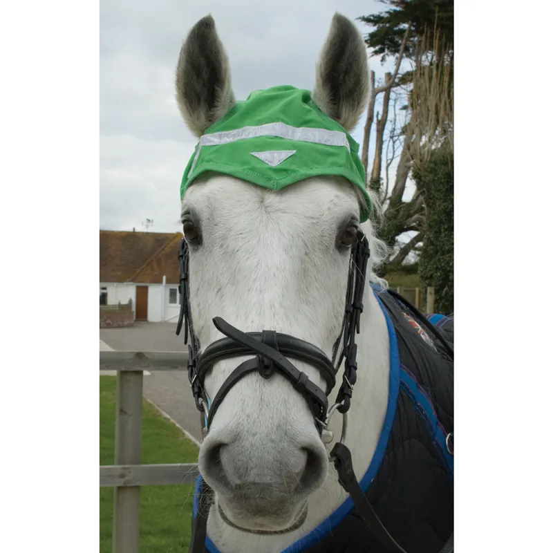 Hozhats Reflective Fly Veil - Green