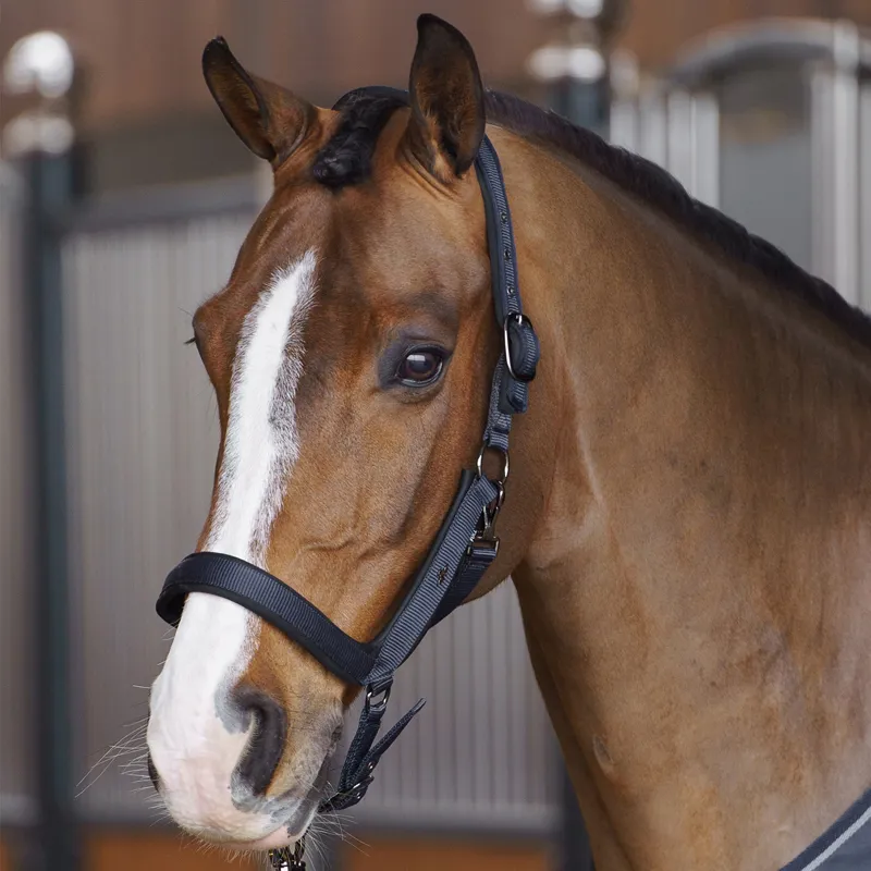 HV Polo Essential Anatomical Headcollar - Navy-1