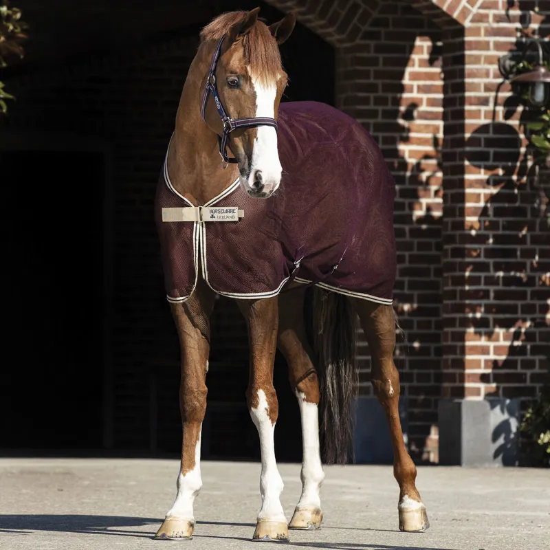 Amigo Net Cooler Rug - Fig/Navy/Tan