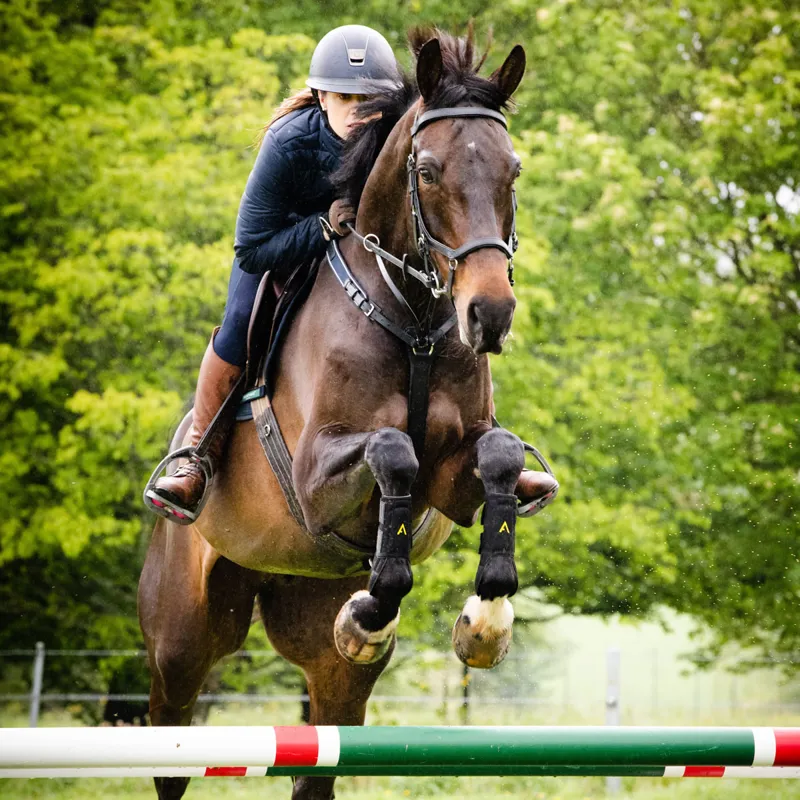 Horseware Adagio Training Boots - Black/Yellow-5