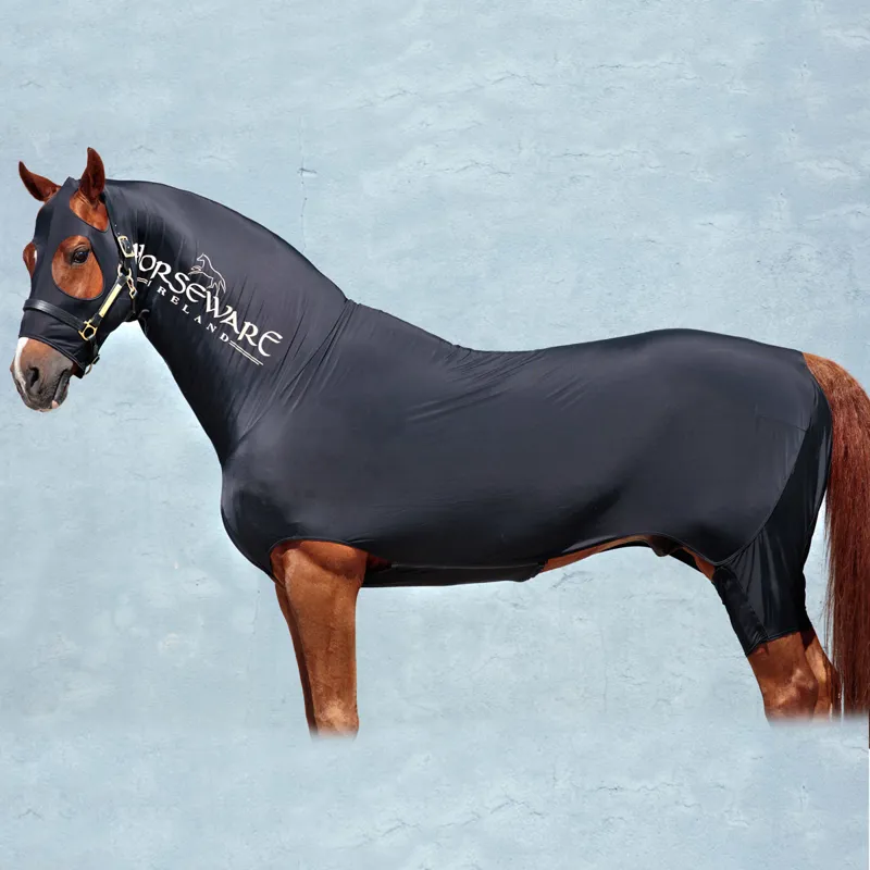 Slinky for horses outlet