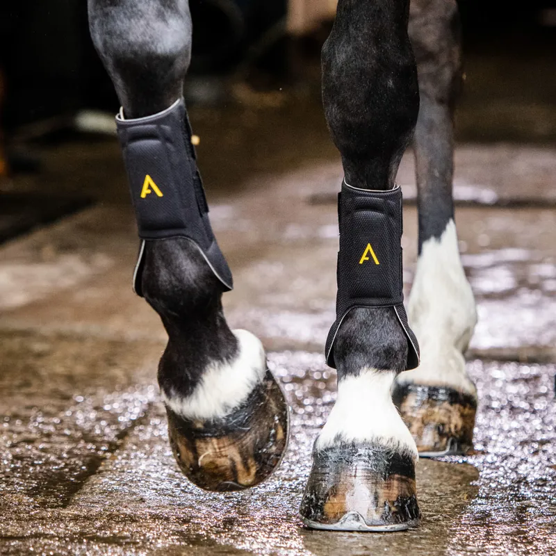 Horseware Adagio Training Boots - Black/Yellow-1