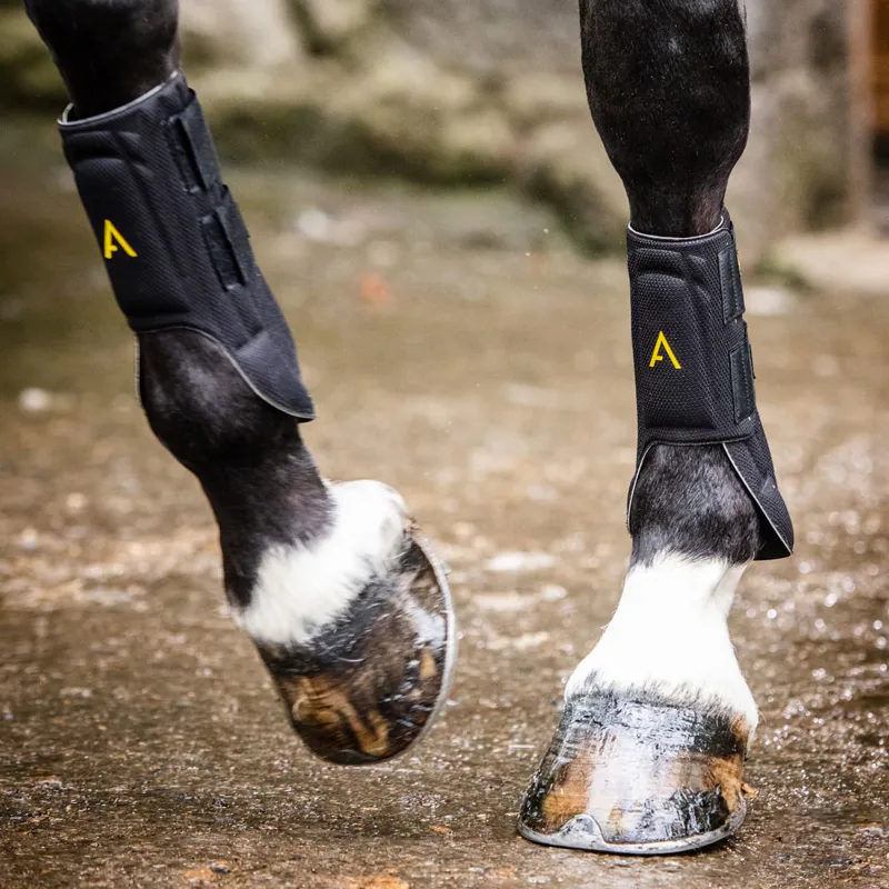 Horseware Adagio Training Boots - Black/Yellow-2