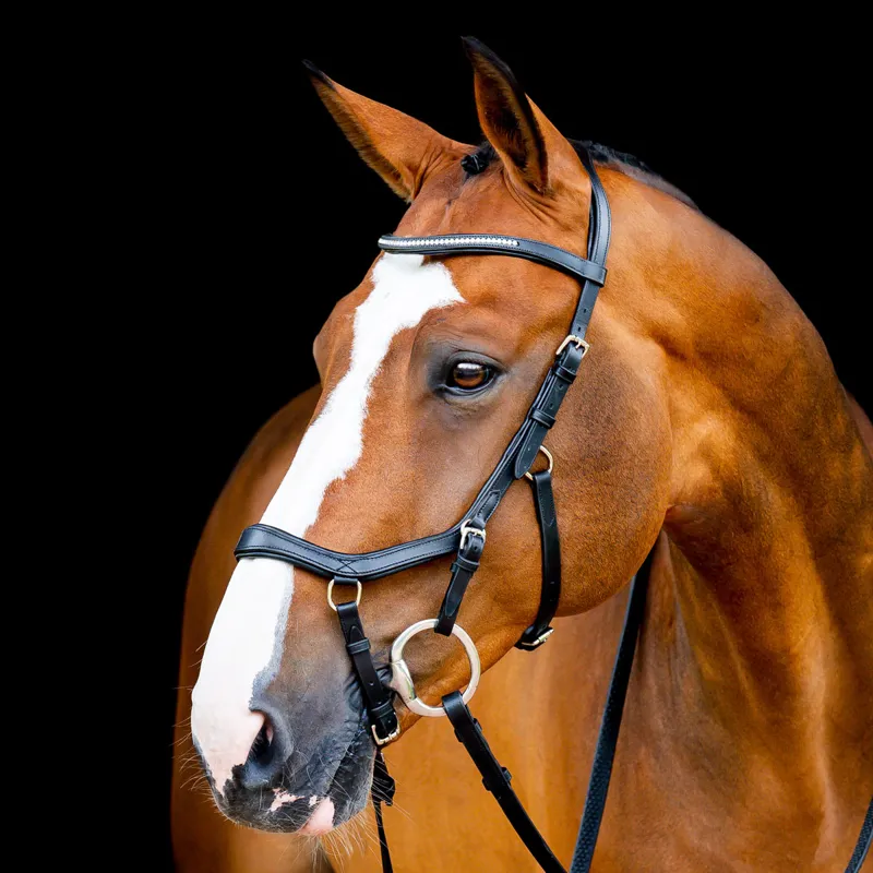 Micklem bridle top