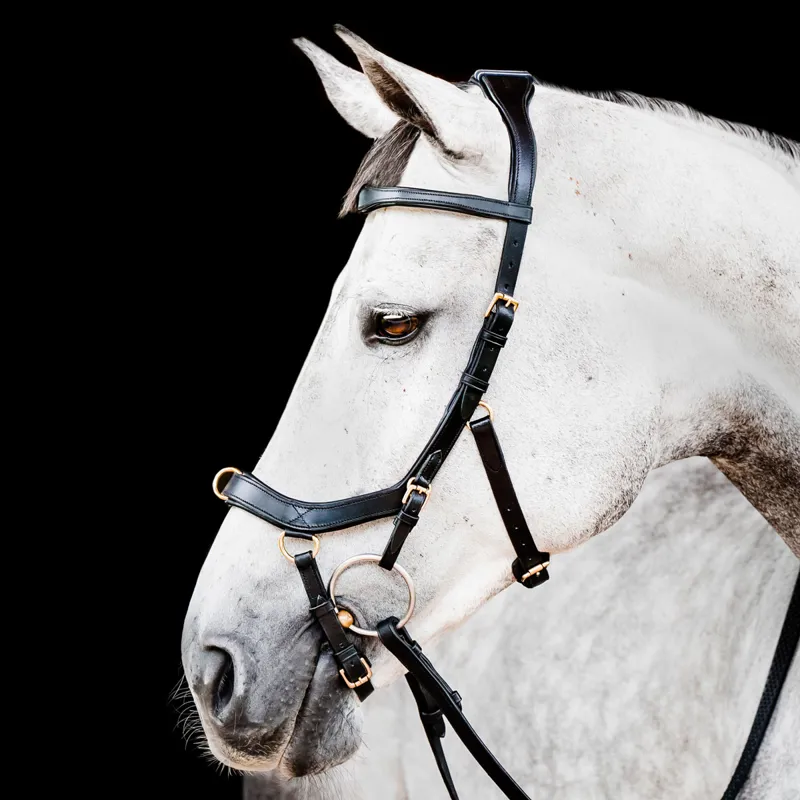 Horseware Micklem 2 Multi Bridle - Black