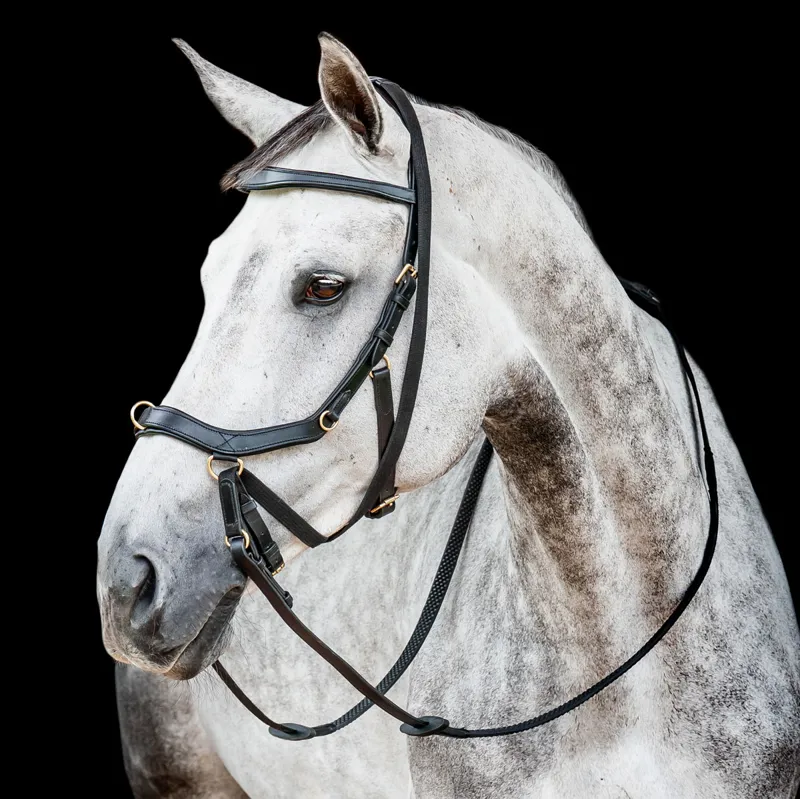 Horseware Micklem 2 Multi Bridle - Black - TRIAL-1