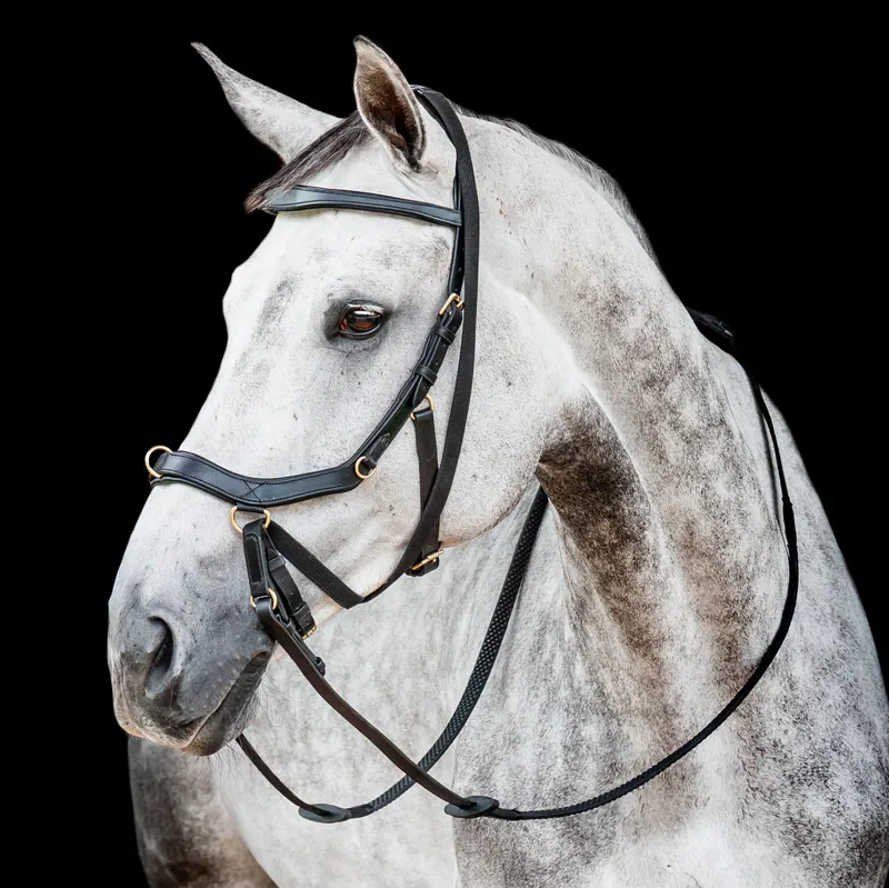 Horseware Micklem 2 Multi Bridle - Black-1