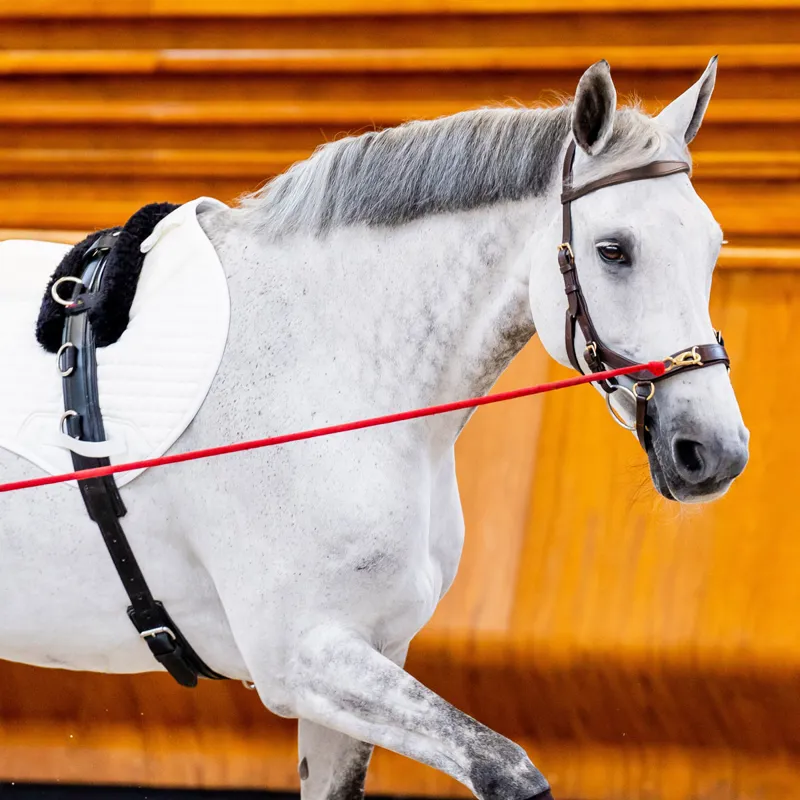 Horseware Micklem 2 Multi Bridle - Black - TRIAL-6