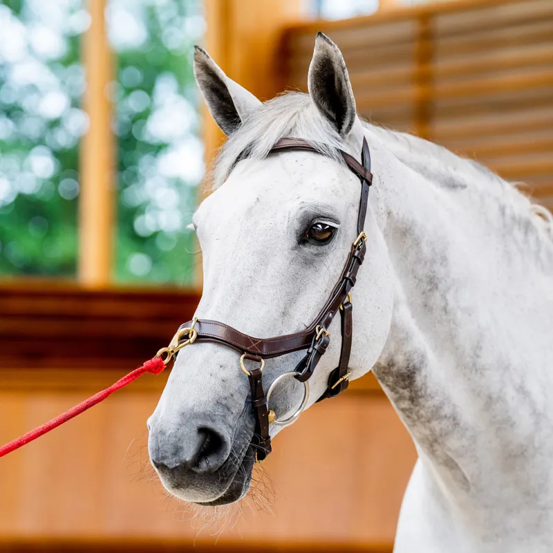 Horseware Micklem 2 Multi Bridle - Black - TRIAL-7