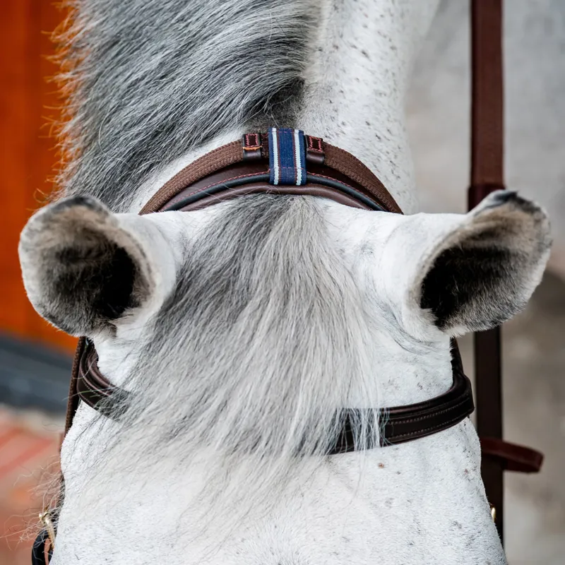 Horseware Micklem 2 Multi Bridle - Black-8