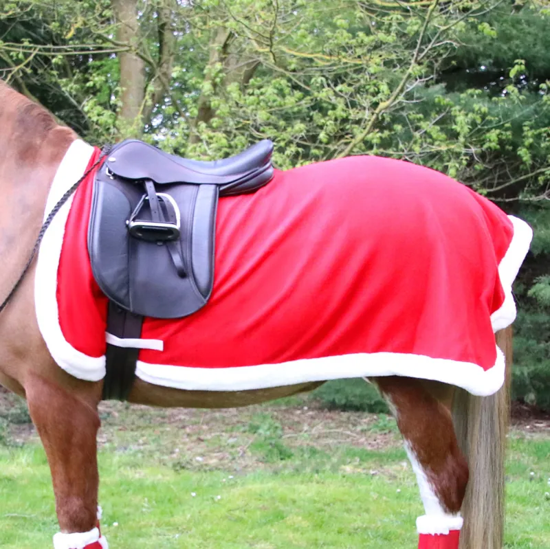 Hy Christmas Horse Santa Exercise Sheet - Red/White