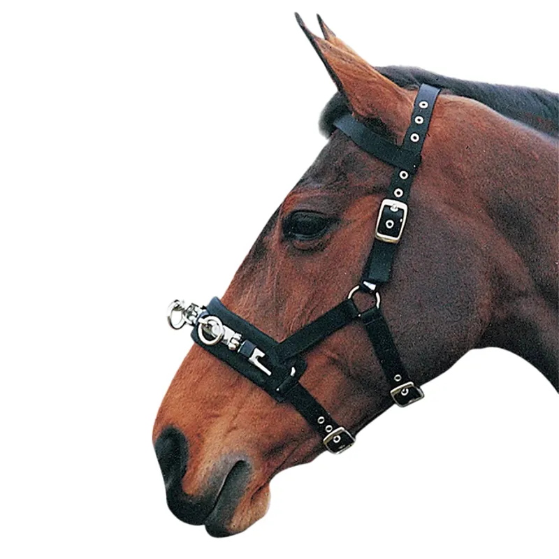 Hy Equestrian Lunge Cavesson - Black-1