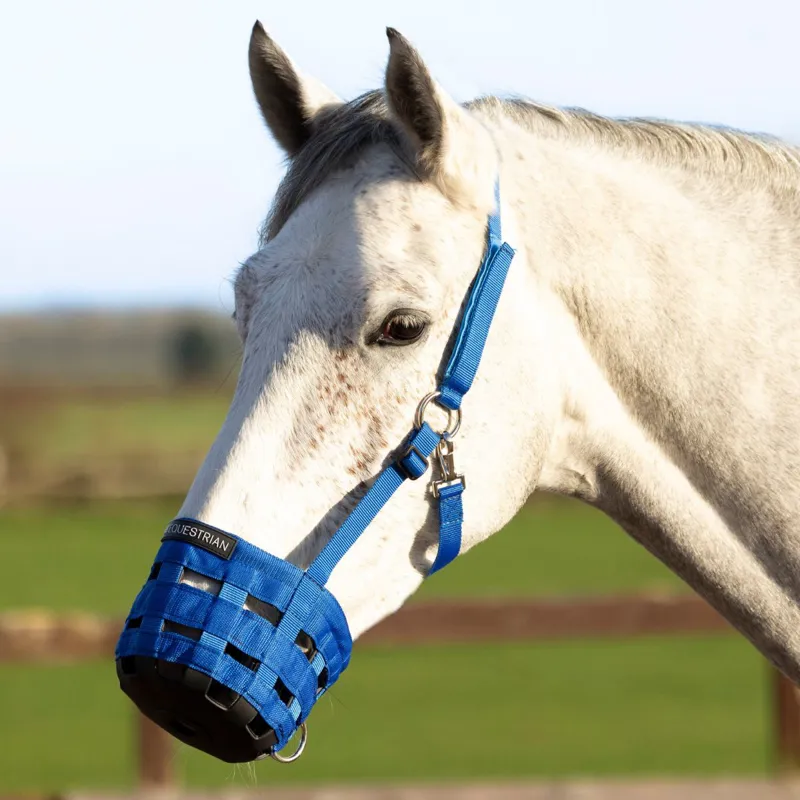 Hy Grazing Muzzle - Blue-1