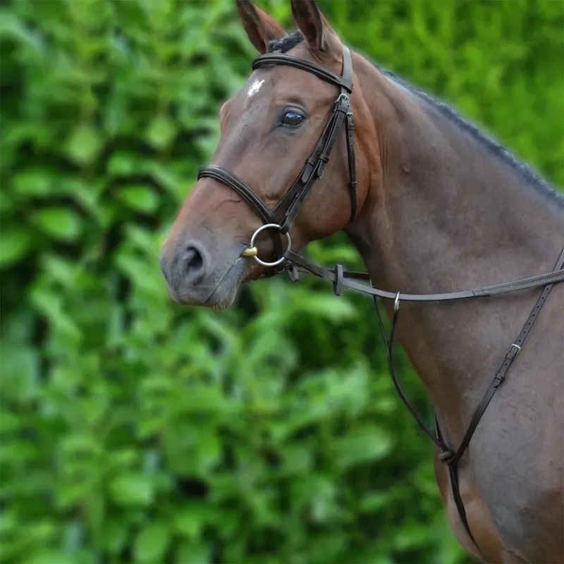 HY Equestrian Running Martingale - Black-1