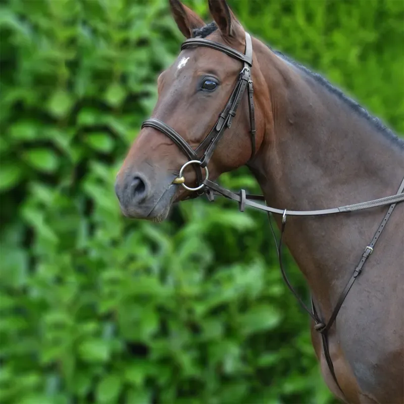HY Equestrian Running Martingale - Brown-1