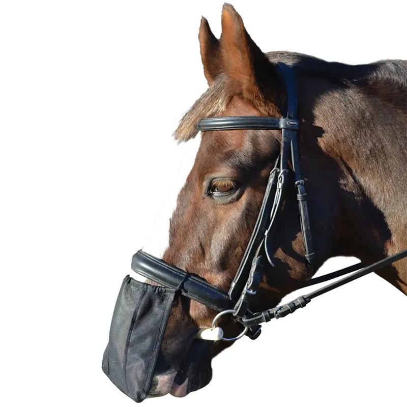 Hy Equestrian Nose Shield - Black