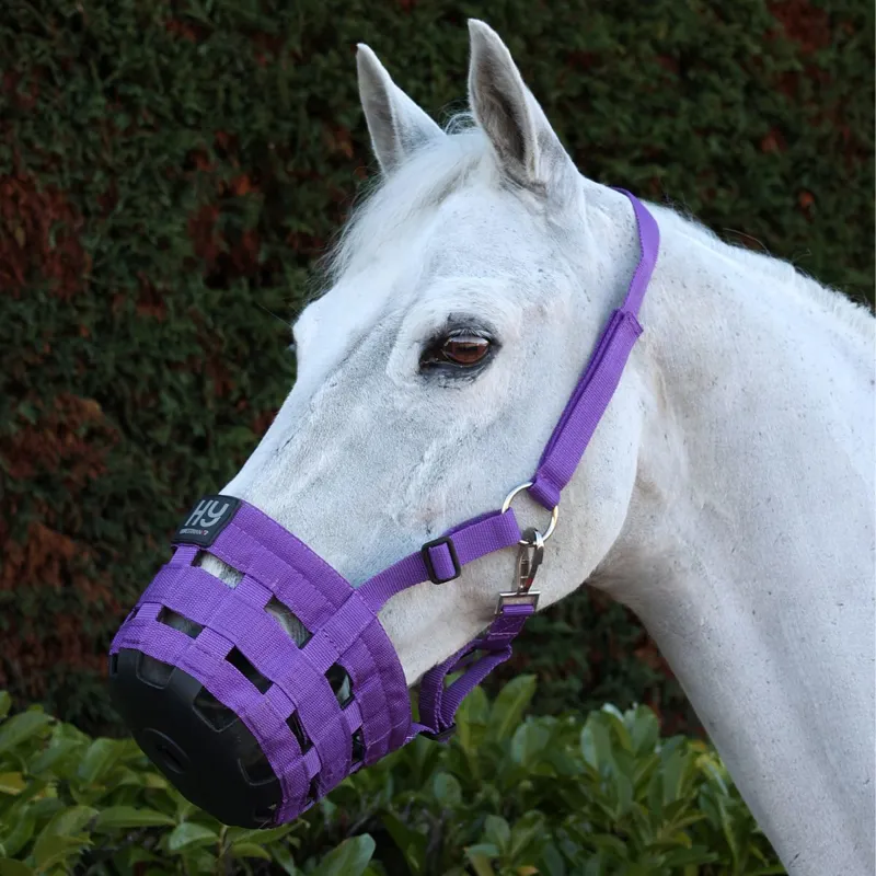 Hy Grazing Muzzle - Purple-1