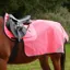 Hy Equestrian Reflector Summer Mesh Quarter Sheet - Pink