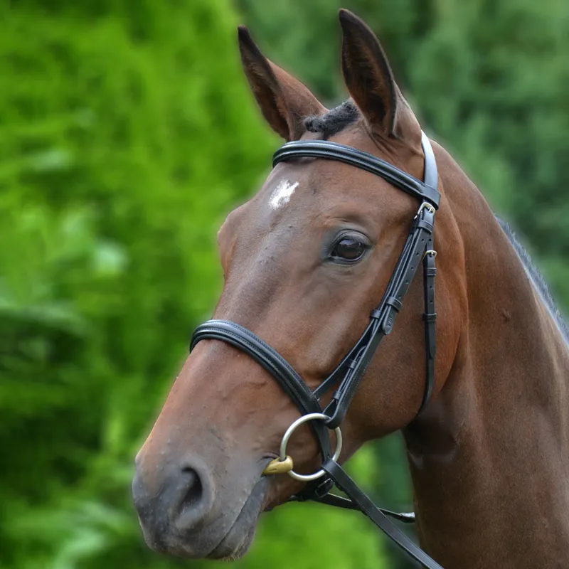 Hy Padded Cavesson Bridle with Rubber Grip Reins - Black