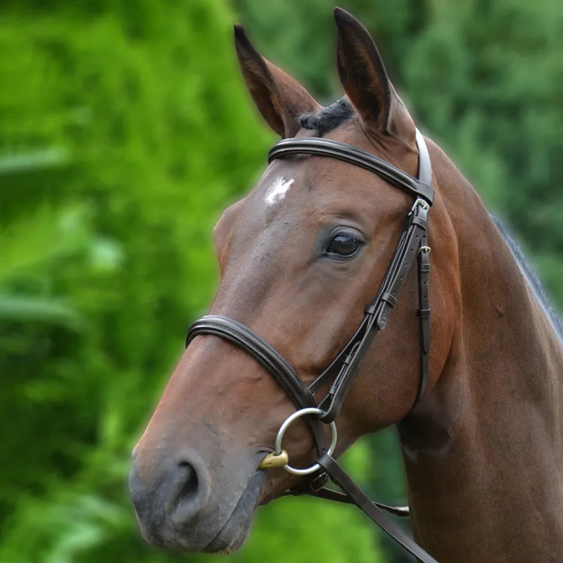 Hy Padded Cavesson Bridle with Rubber Grip Reins - Brown