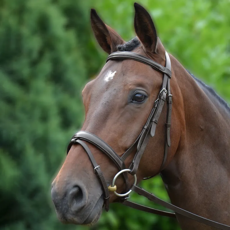 Hy Padded Flash Bridle with Rubber Grip Reins - Brown